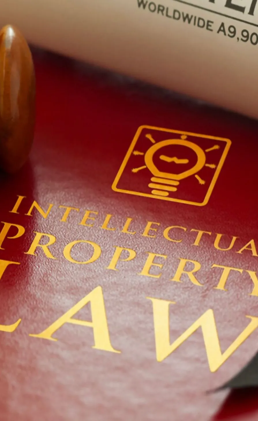 intellectual property litigation